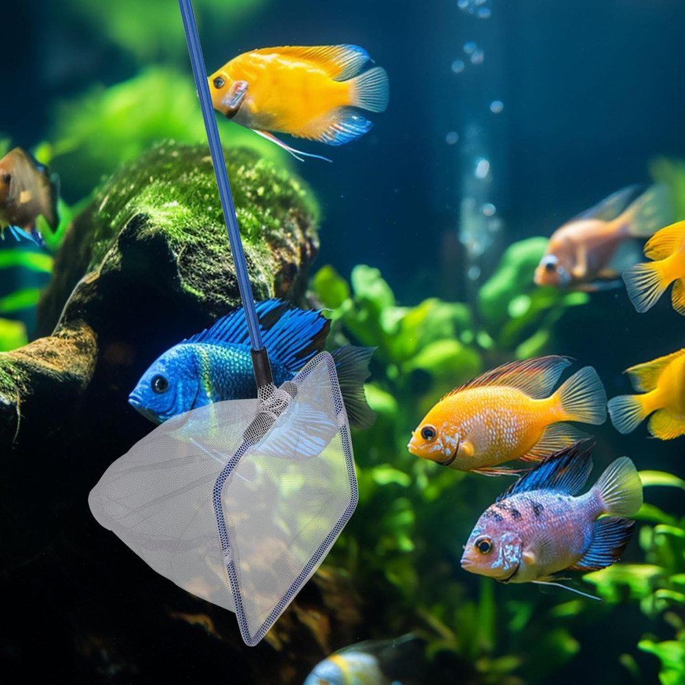 Fish Net Aquarium, Small Fish Tank Net with Long Plastic Handle, Square net with