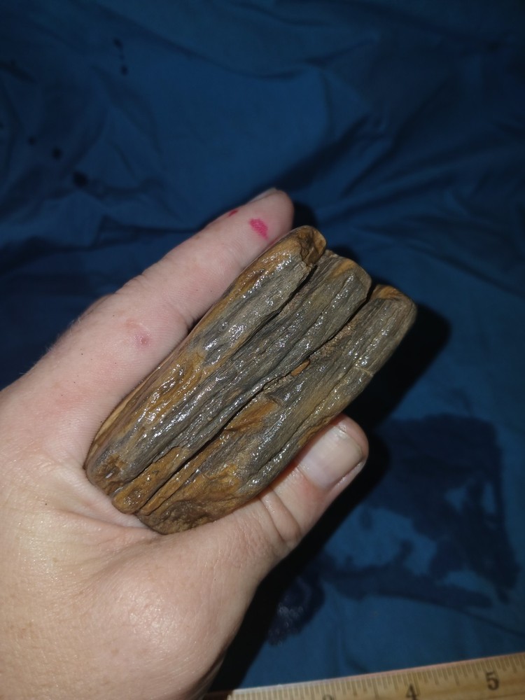 9.5 oz Agatized Petrified Wood