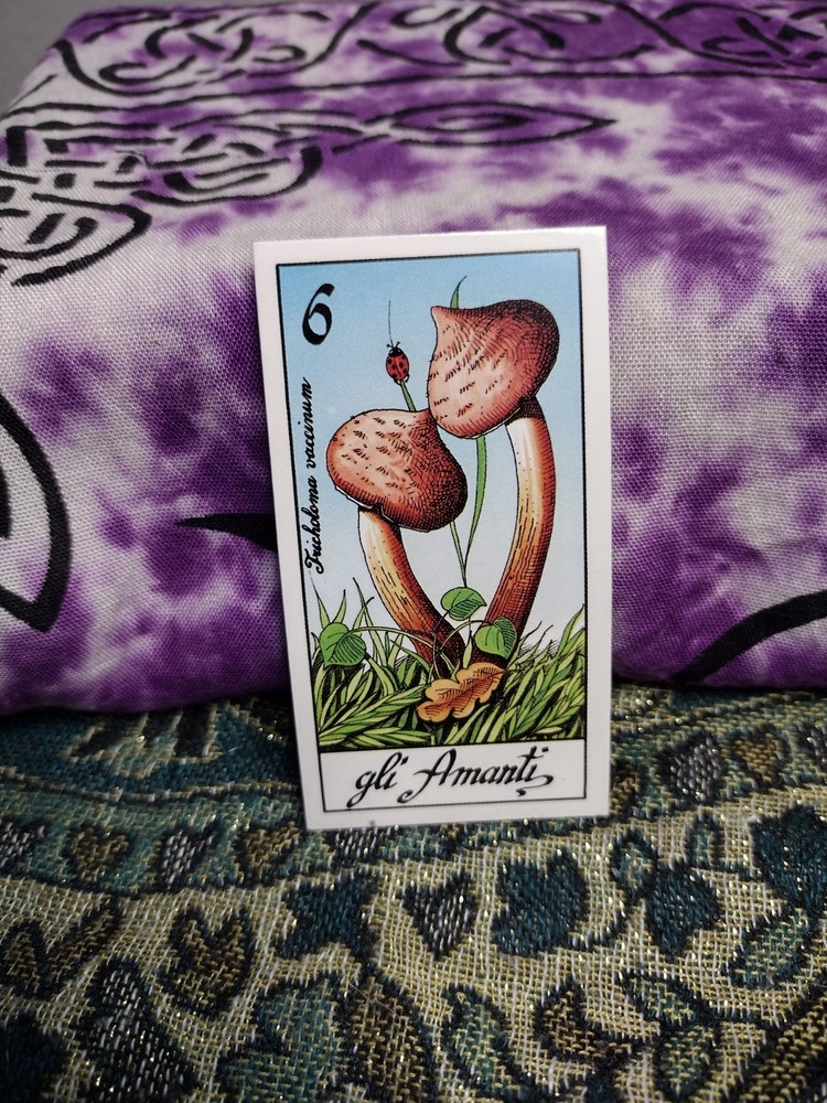 Fungus Tarot by Meneghello 1987