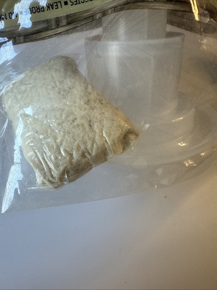 Black Flag Disposable Fly Trap New 2 Each