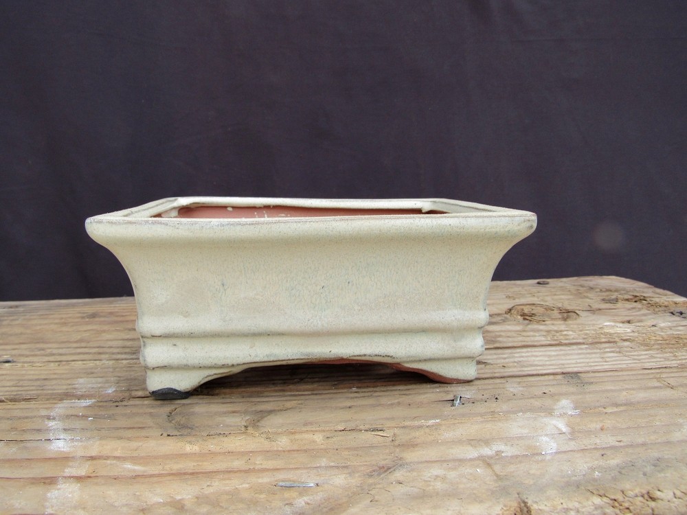 White Glazed Ceramic Professional Bonsai Pot - Rectangle - 6" x 4" x 2"