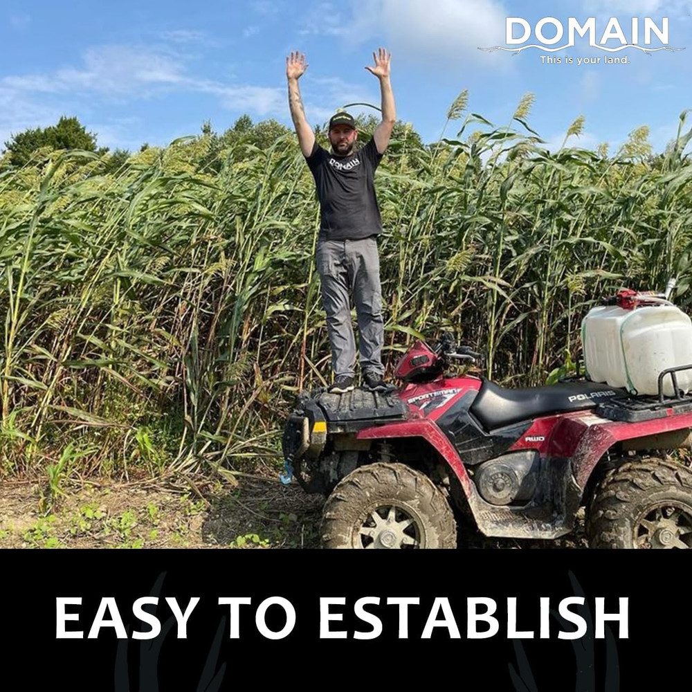 Incognito Deer Plot Seed, 1/4 Acre, Create Concealment to and from Stand or Plot