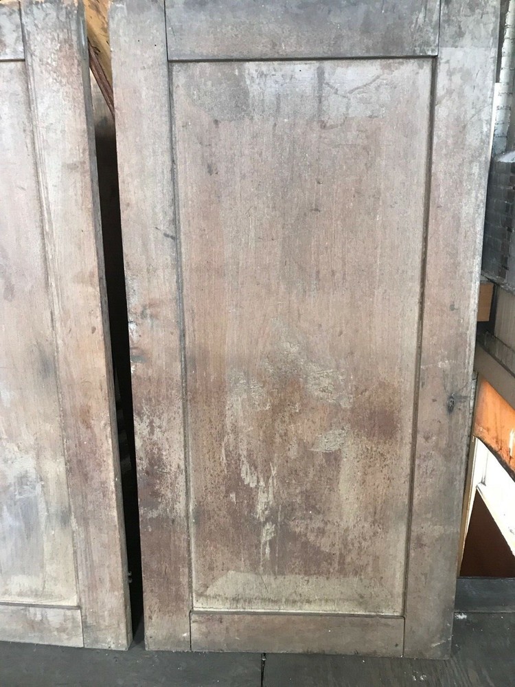 Pair of Early Walnut Paneled Doors from a Cupboard