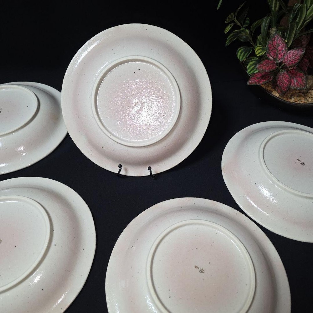 Tachikichi Plate 20.5cm 5 Set