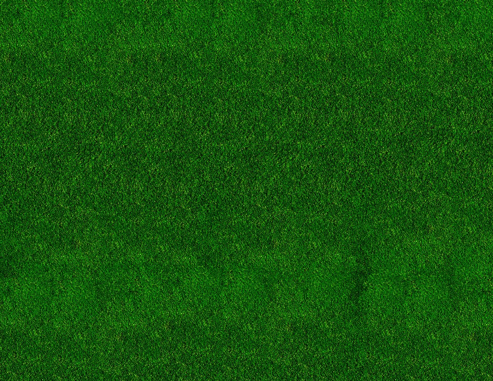 Z Scale Grass Model Train Scenery Sheets –5 Seamless 8.5x11 Dark Green