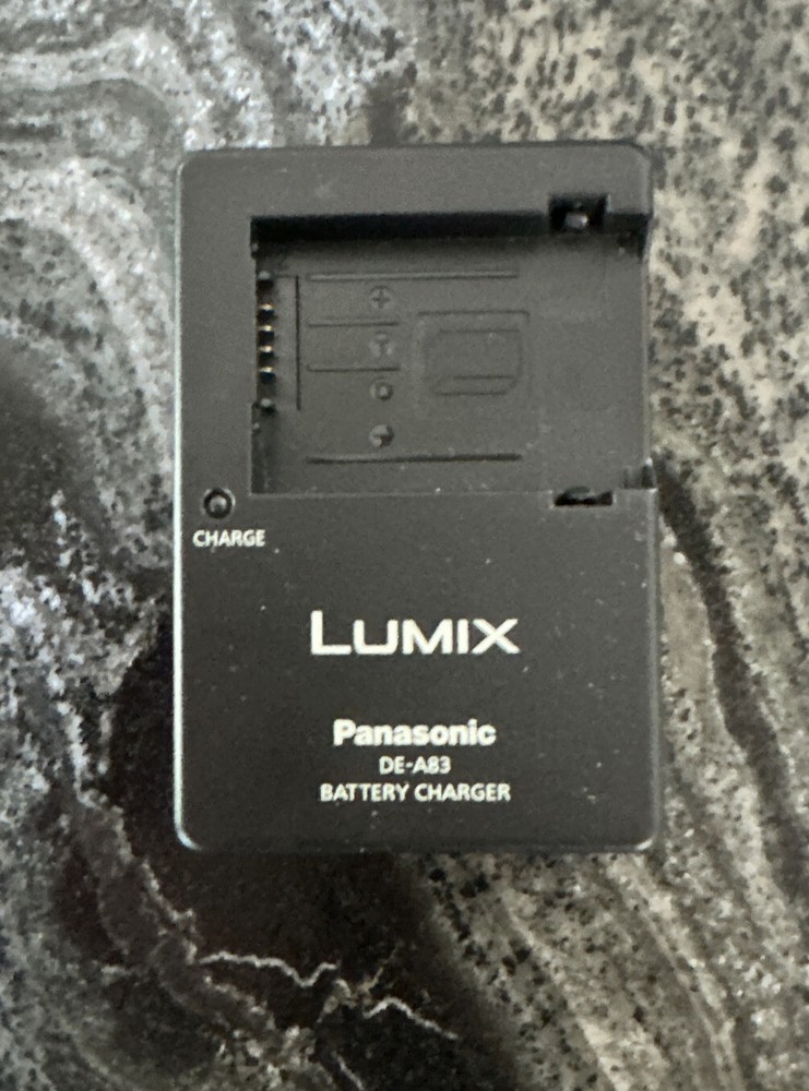 Panasonic Lumix DMC-FZ100 Accessory Lot