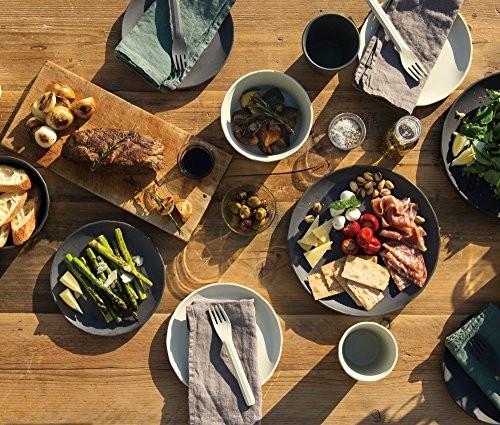 KINTO ALFRESCO Bowl NEW