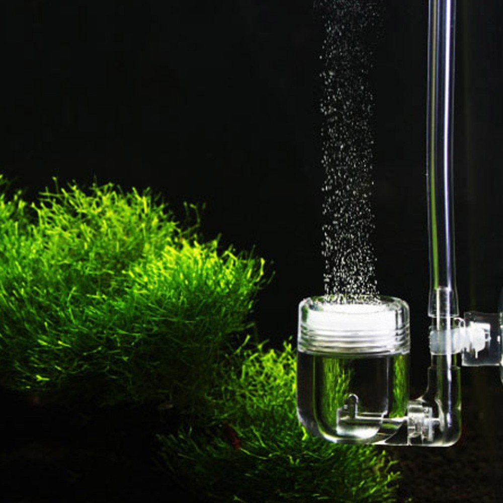 Aquarium Hydroponic Oxygen Diffuser Water Change Fish Tank Carbon Dioxide