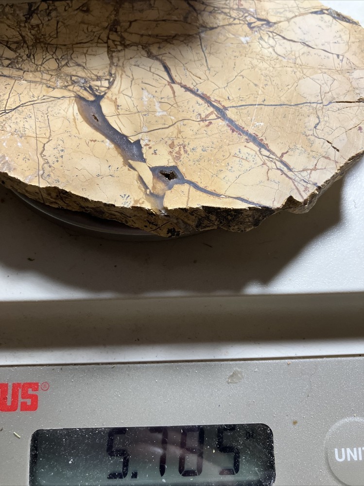 Brecciated Gold Jasper Slab