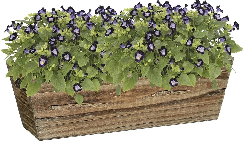 Wood Window Box - Handled Buffalo Brown