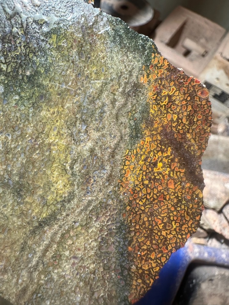 Dinosaur bone rough **hxtled slab.