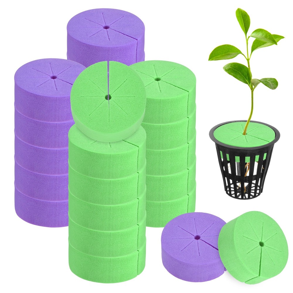 20-Pack Cloning Collars Inserts, Hydroponics Sponge Cloning [Purple, Green]