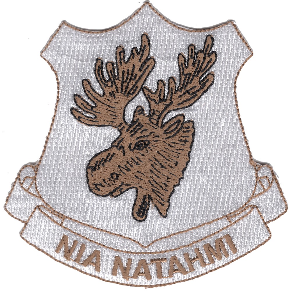 386th Infantry Regiment Patch
