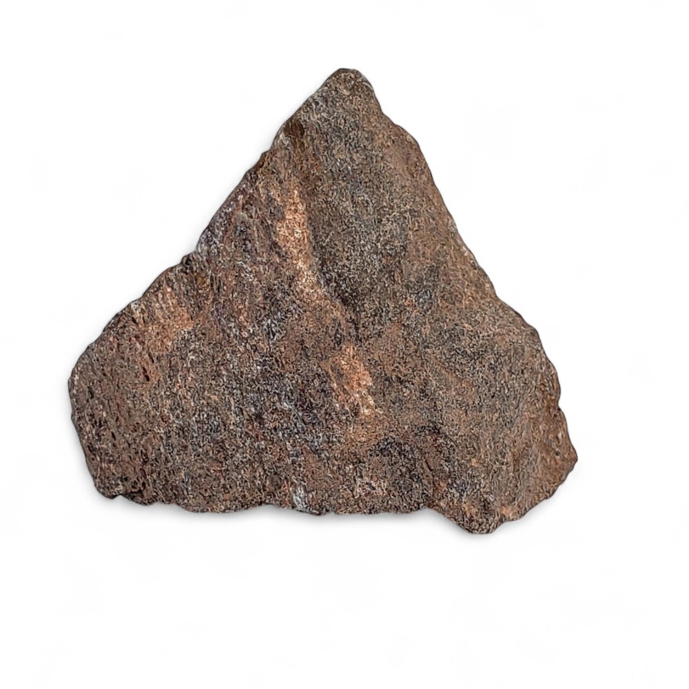 Jurassic Dinosaur Fossil Bone from Morrison Formation Includes Display