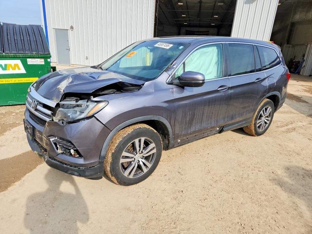 PILOT 2017 Jack 1552265