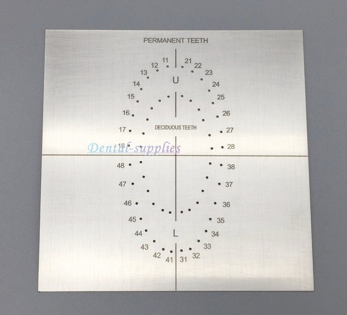 Dental Rubber Dam Punch Template