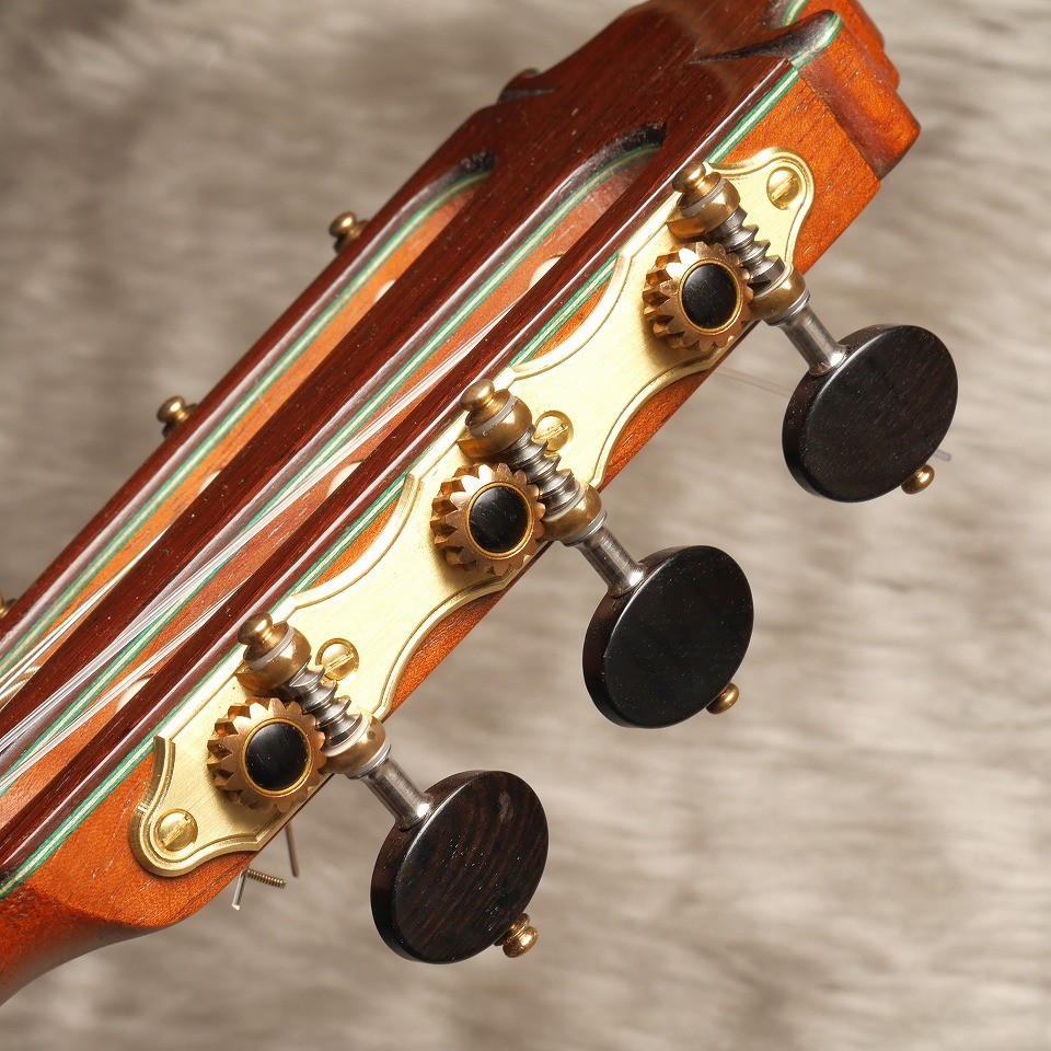 VICENTE CARRILLO Maestro NX