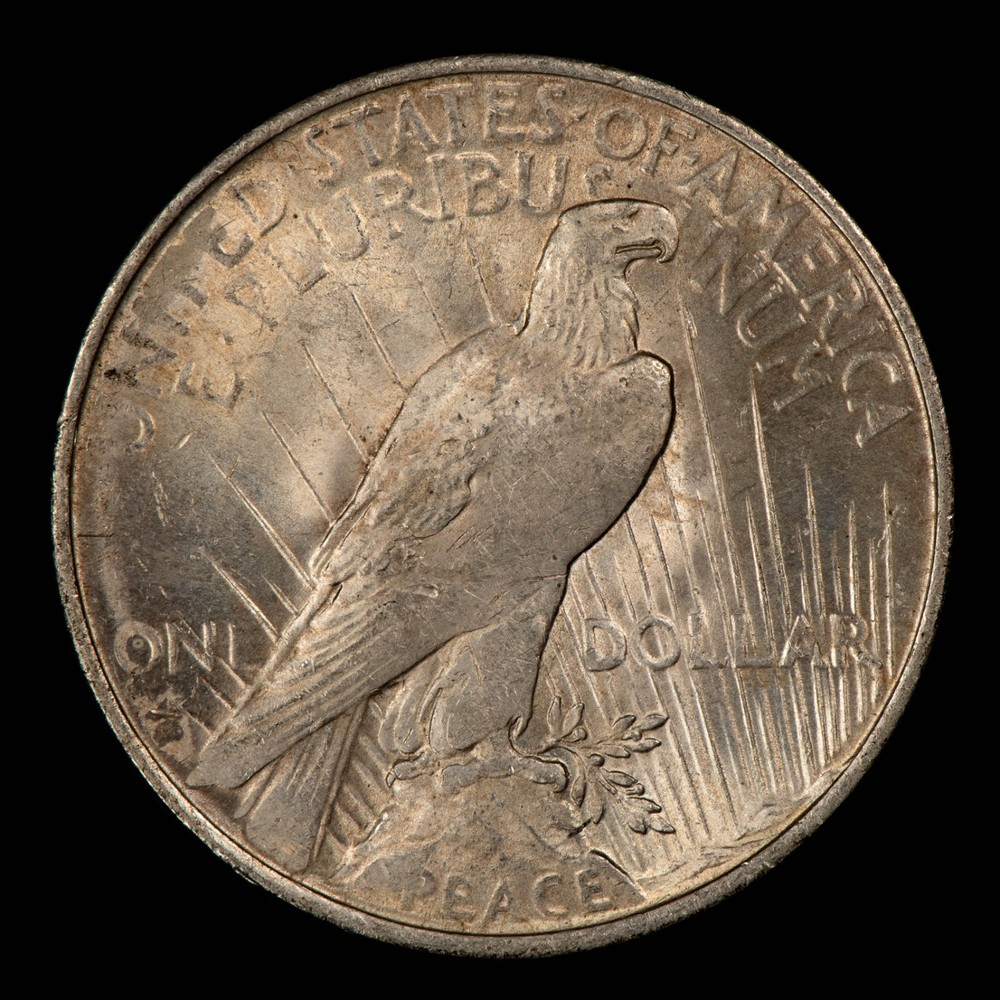 1922 $1 Peace Dollar - Mint Error Massive Struck Through Grease - VIDEO - Z6320