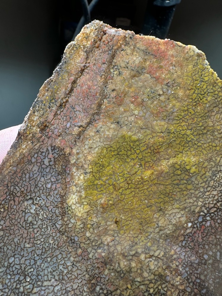 Dinosaur bone rough **hxtled slab.