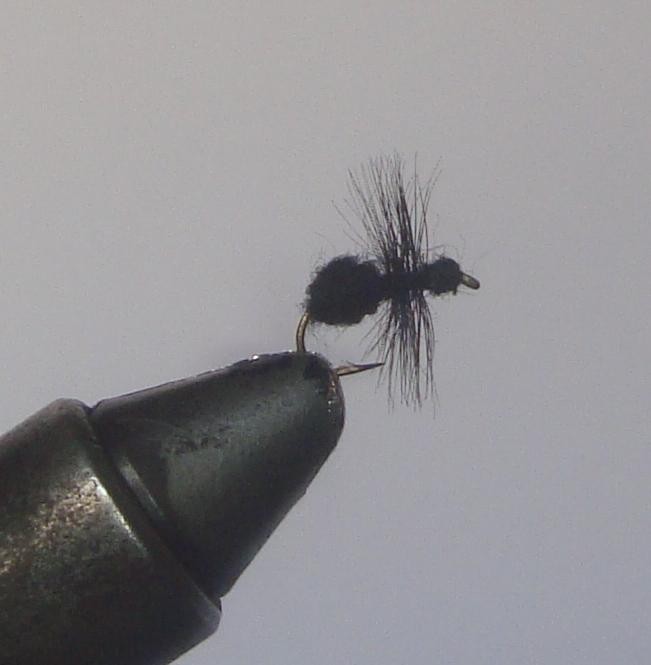 C/A FLIES  BLACK ANT #12 (12)