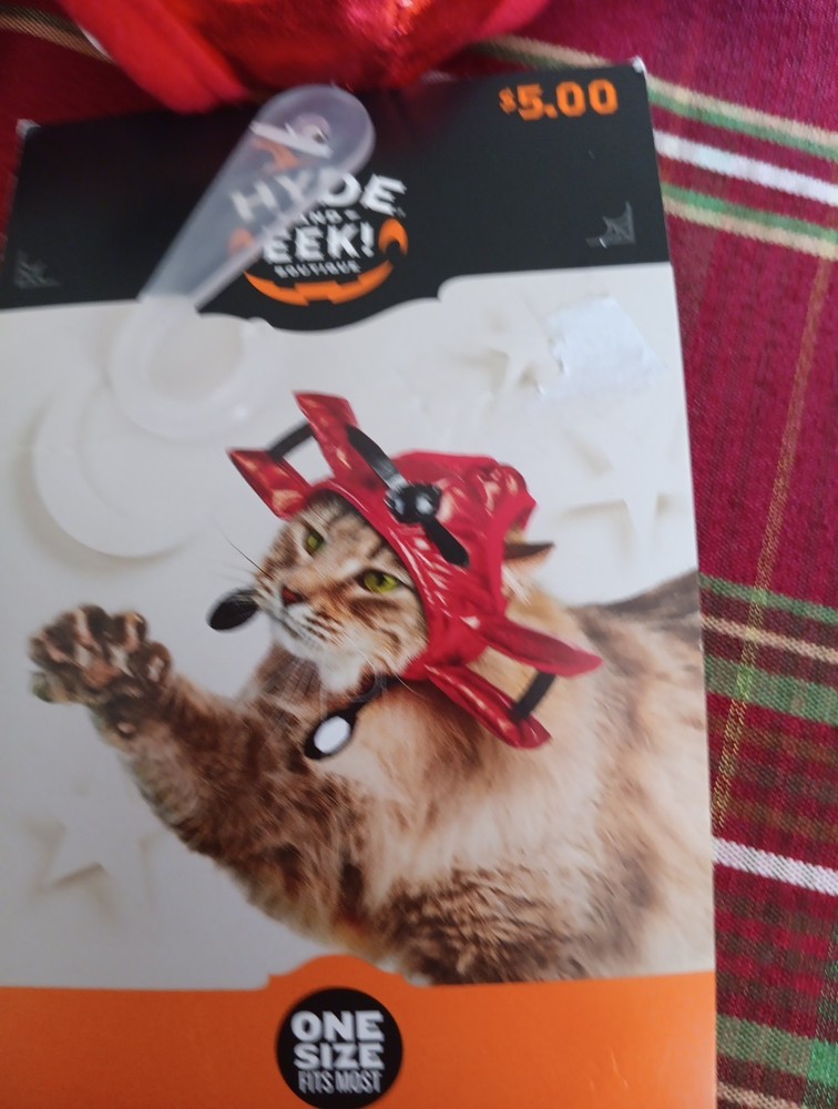 Hyde & EEK! Boutique Halloween Biplane Cat Hat, One Size