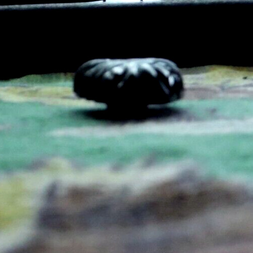 Antique dark green Bakelite leaf clip pin