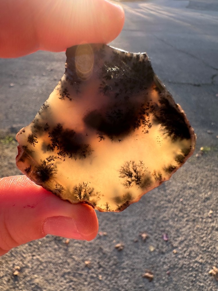 Dendritic Plume Agate Small Slab, 28 grams, Lapidary/Cabbing