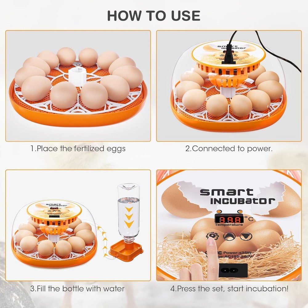 Compact 12 Egg Incubator - Automatic Egg Turning & Heated Stable Environment