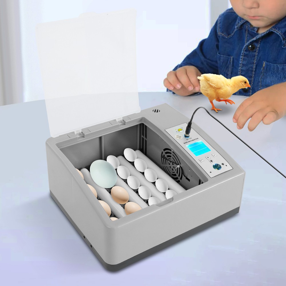Egg Incubator w/ Temperature Control 16-Egg Incubator Household Egg Incubator