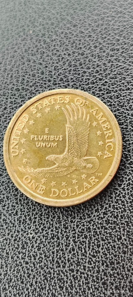 2000 P Sacagawea Injured Eagle & DD Error Coin