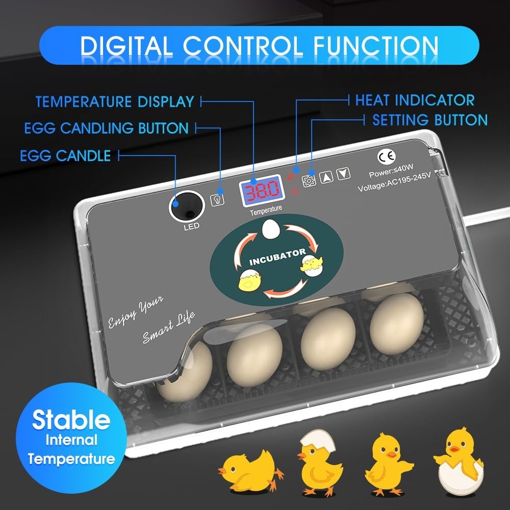 Automatic Egg Incubator for Hatching Eggs: Egg Incubator with Automatic Egg T...
