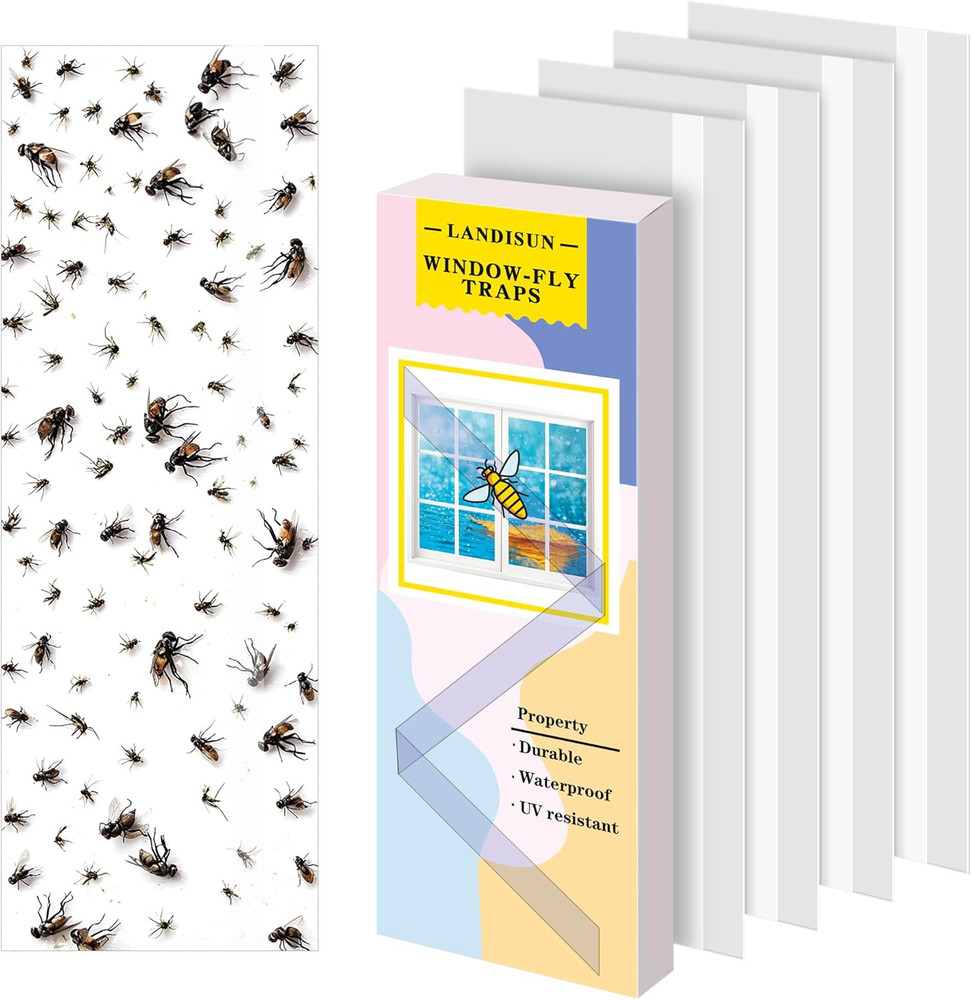Fly Trap Indoor Fruit Fly Traps for Mosquitos Gnats Windows 30 Pack
