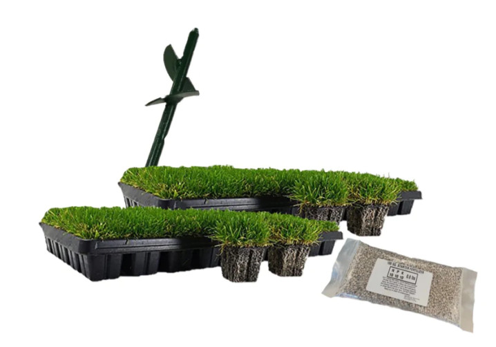Zoysia Plug Starter Package - 100 Plugs, Fertilizer & Tool