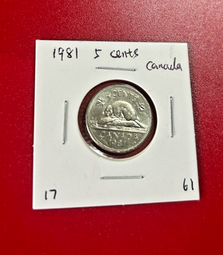 1981 CANADA 5 CENTS COIN - NICE WORLD COIN !!!