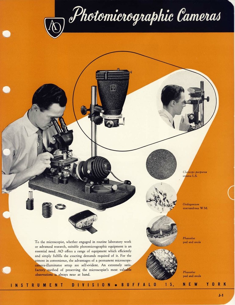 AO Spencer Microscope Photomicrographic 4" x 5" Fixed Camera Back No 667 Great!