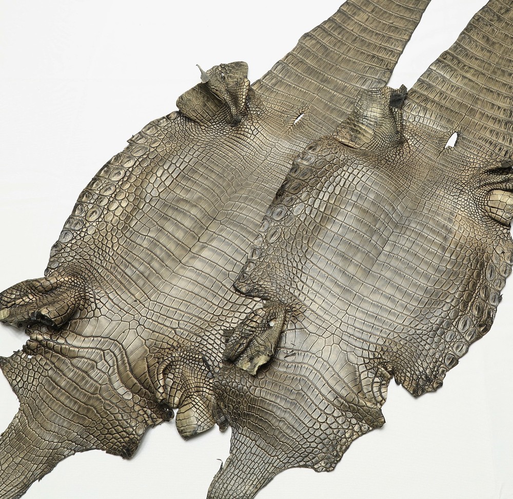 Crocodile Leather Cream Color (WO)