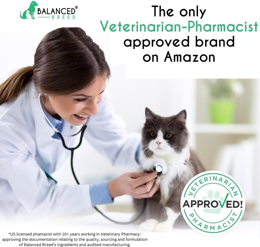 Balanced Formula L-Lysine Immune Support Soft Chews for Cats