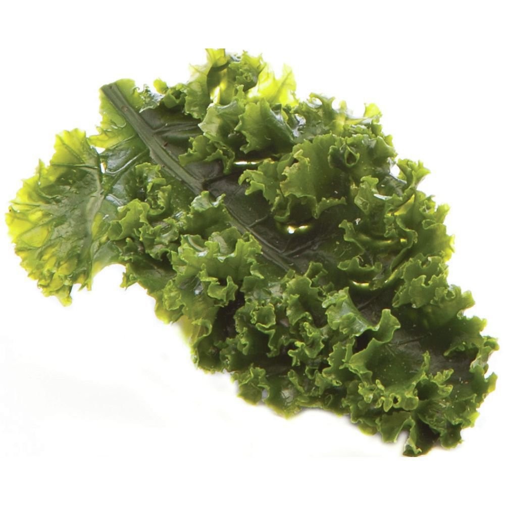 Artificial Kale Leaf Garnishing Green - 6"L