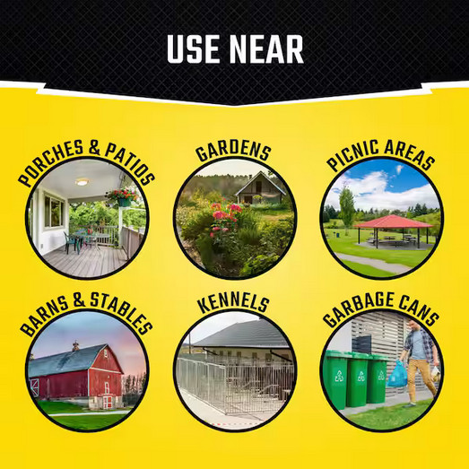 Fly Stick Insect Trap (4-Pack)