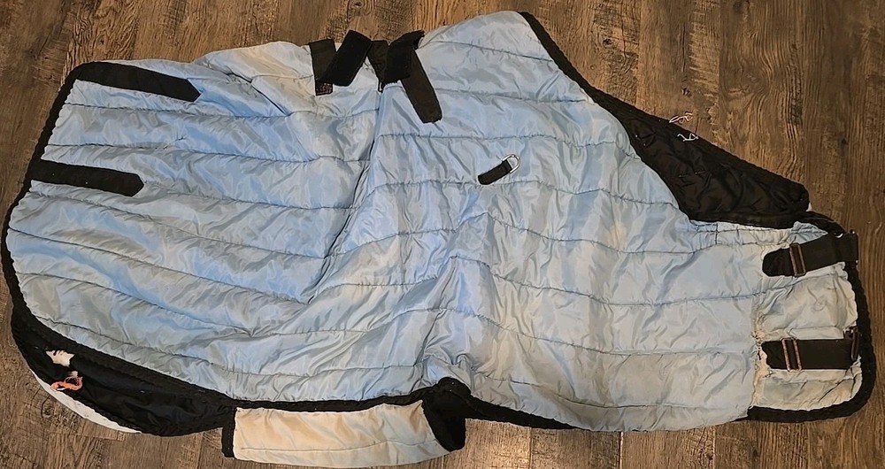 horse blanket