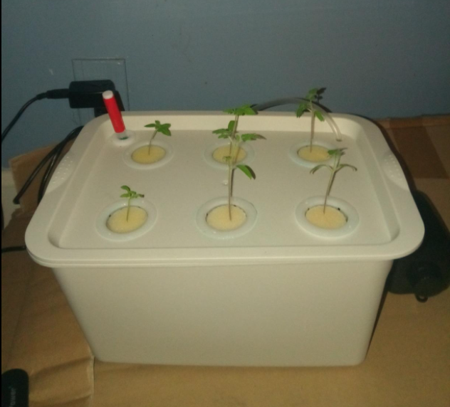 Hydroponics Grower Kit DIY Self Watering Indoor Hydroponics Tools DWC Hydroponic