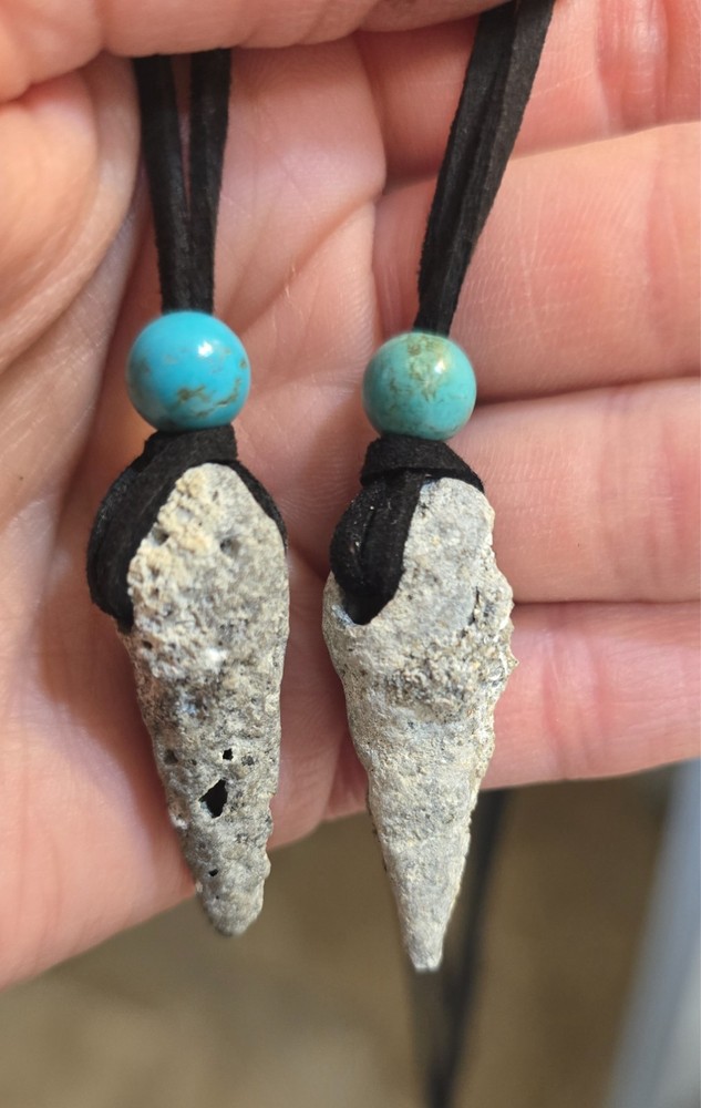 Fossil shell necklaces with turquoise gemstone bead