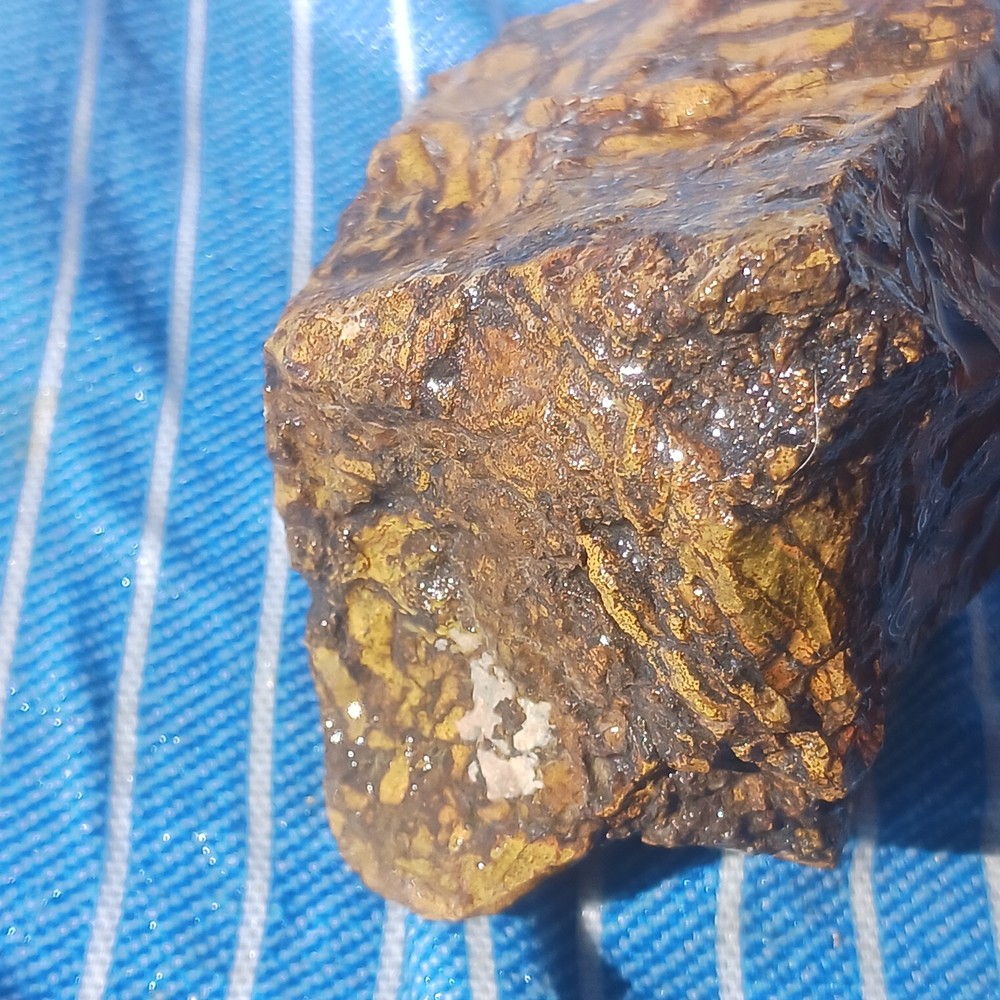 Jasper Rough Specimen Display Lapidary Potential