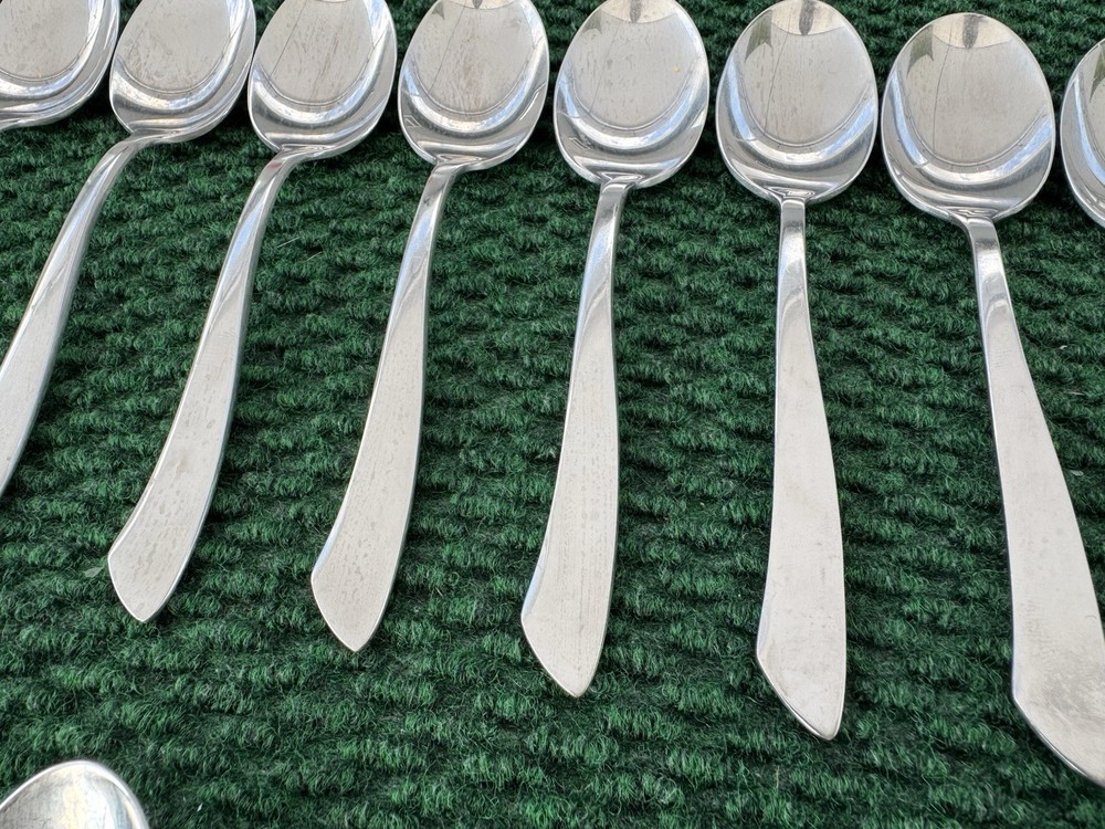 Nancy Prentiss NPS2 Stainless Curved Handle Satin Silverware Flatware 66 Pieces
