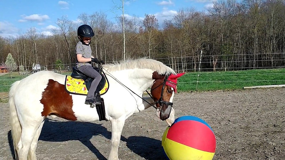 Pikachu Pokemon Saddle Pad Handmade Pony Size with Bonnet