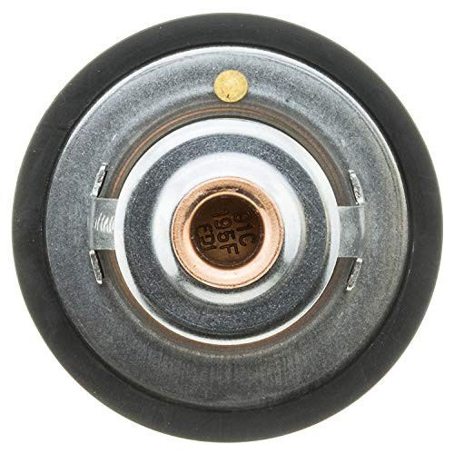 265-195 Thermostat