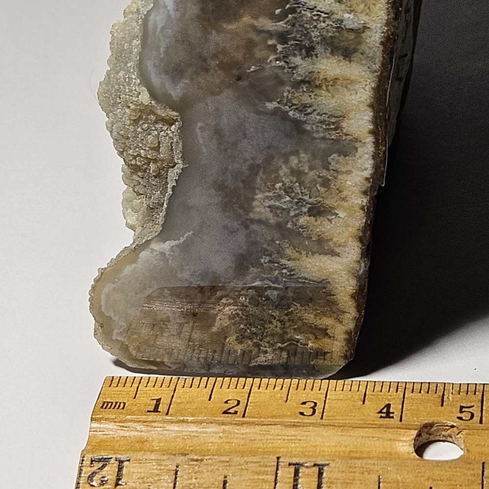 Polished Plume Agate Rough Display Specimen 429 Grams