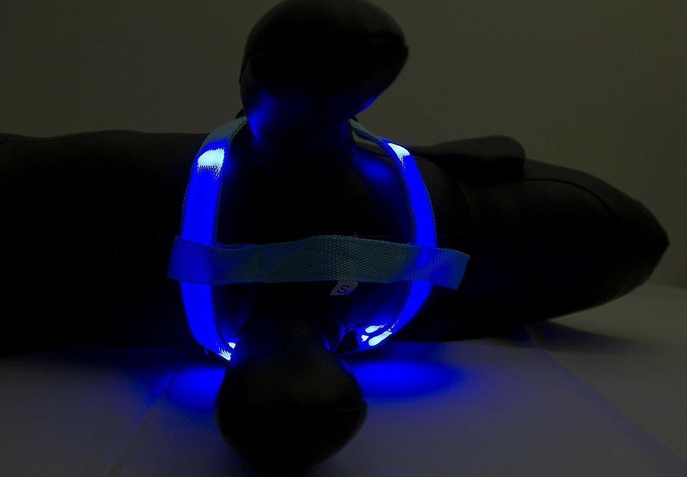 Petcessory LED Step in Harness, Large, Blue