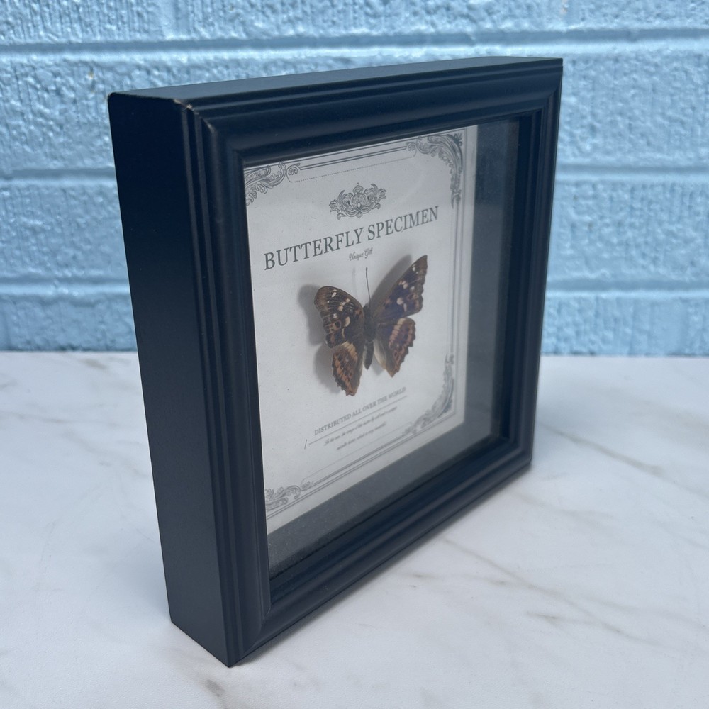 Hackberry Emperor - Butterfly Wall Art Decor Gothic Home Decor
