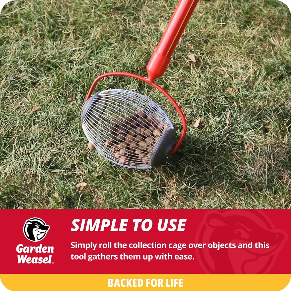 Nut Gatherer - Small Cage | Pick Up Small Acorns, Buckeyes, Beech Nuts | Nut ...